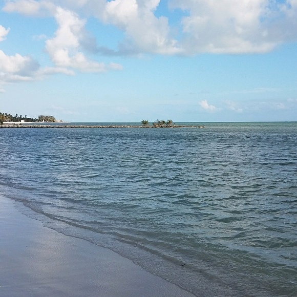 Meet your Posher, Cam - Picture 1 of 1